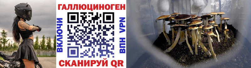 Галлюциногенные грибы Magic Shrooms  купить   Карачев 