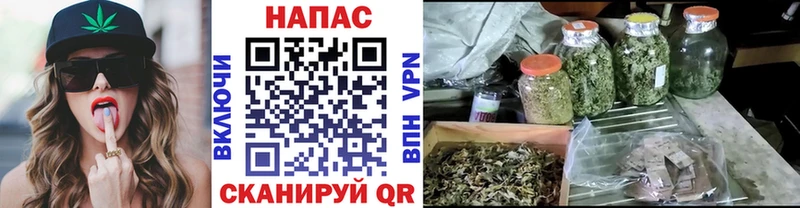 сколько стоит Карачев МАРИХУАНА Bruce Banner